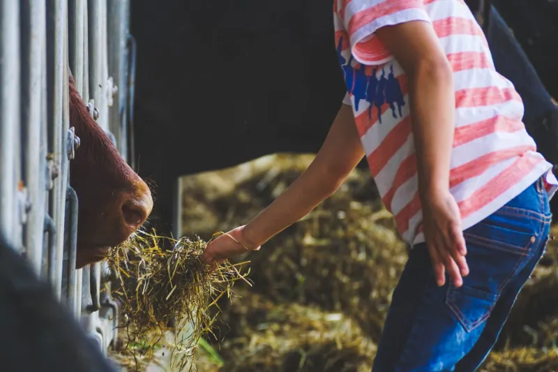 Seeds of Knowledge: How Historic Farms Are Teaching the Next Generation to Remember the Land