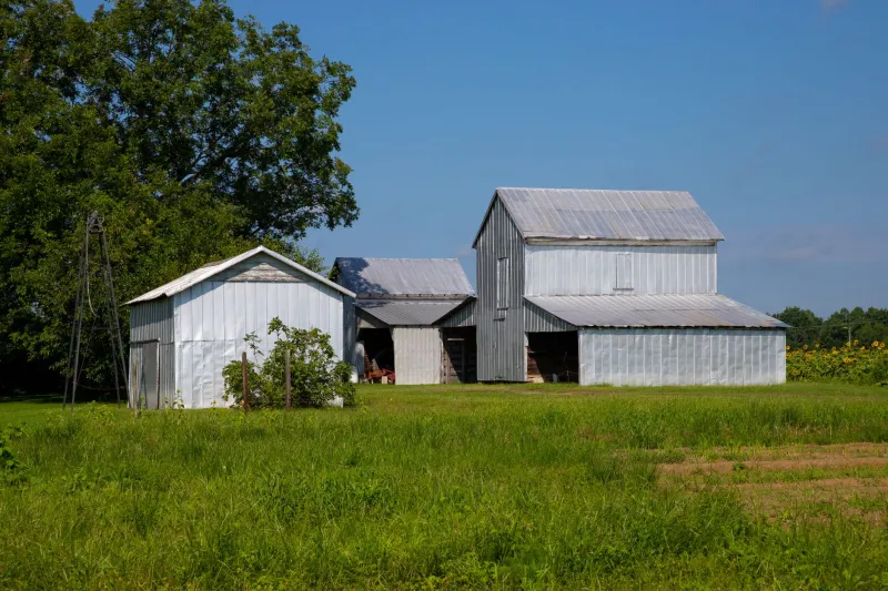 Unplowed Ground: Reclaiming the Agricultural Legacy of Black Farmers and Homesteaders in American History