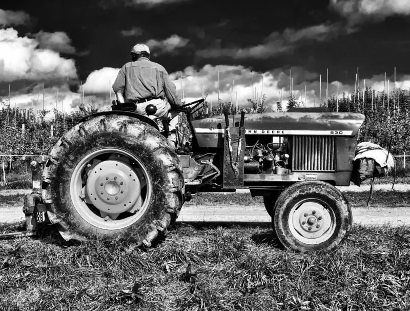 Wages, Words, and Working Lives: Recovering the Hidden Histories of America's Farm Laborers