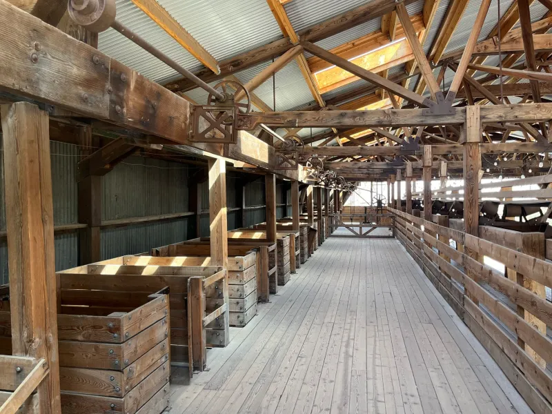 What the Timbers Remember: Reading the Hidden History Written Into America's Historic Barns