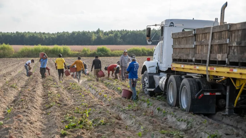 Hands That Fed a Nation: Recovering the Hidden Labor Histories of America's Seasonal Farm Workers