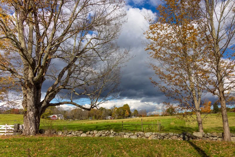 Lines in the Earth: How America's Historic Fences Defined Property, Power, and Place